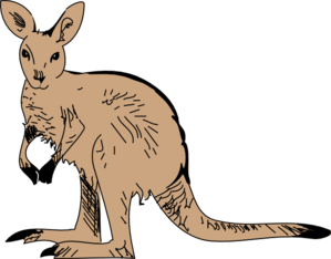 standing-kangaroo-md.png