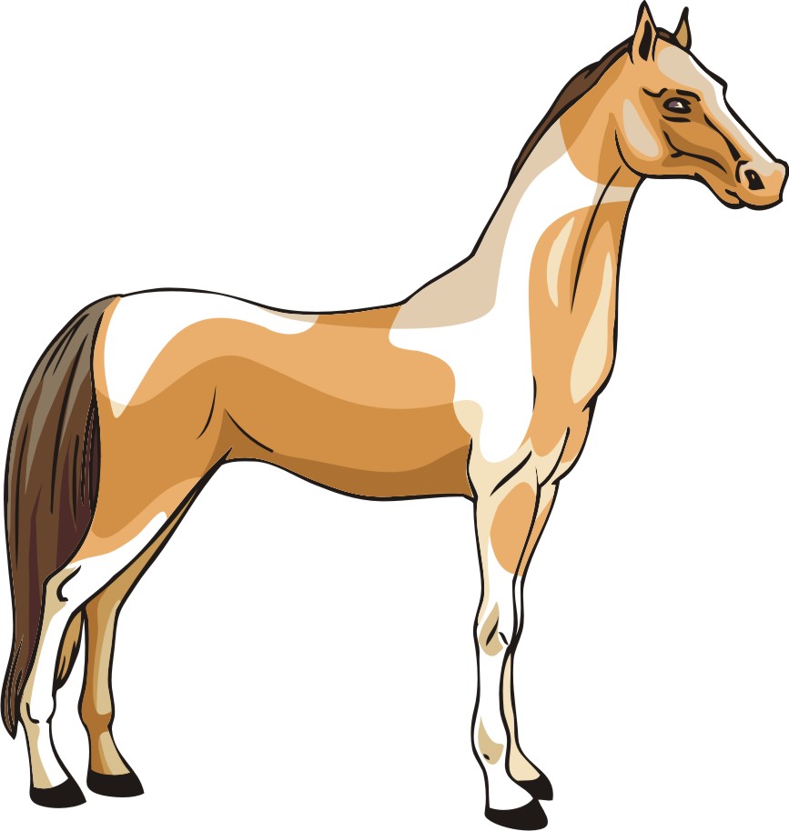horse clip art illustrations - photo #20