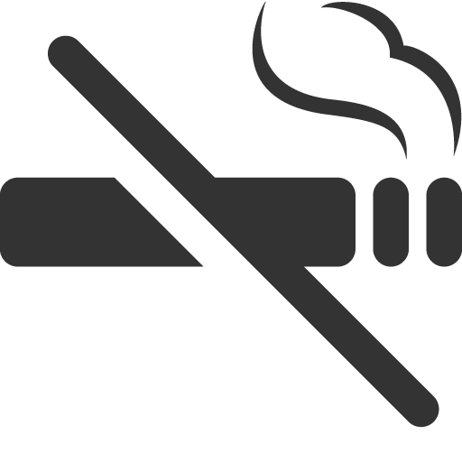 Objects No smoking Icon | Icons8 Metro Style Iconset | VisualPharm