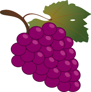 Grape clip art - vector clip art online, royalty free & public domain