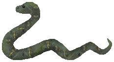 Snake Clip Art - Green and Brown Snakes - Free Snake Clip Art - page 3