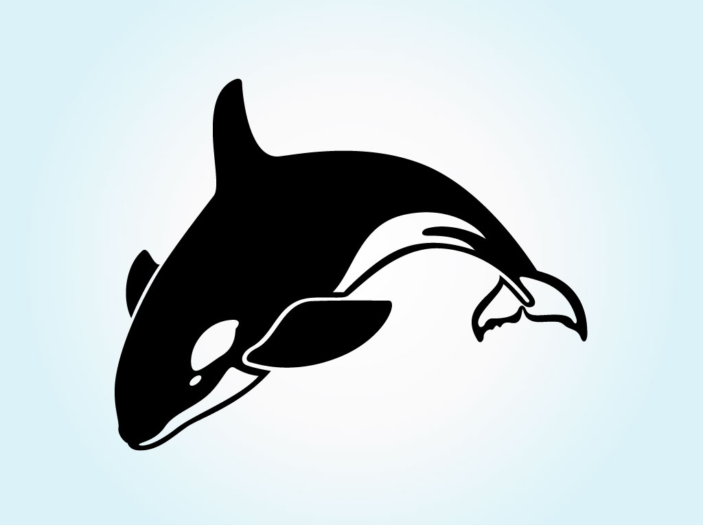 Orca Cartoon - ClipArt Best