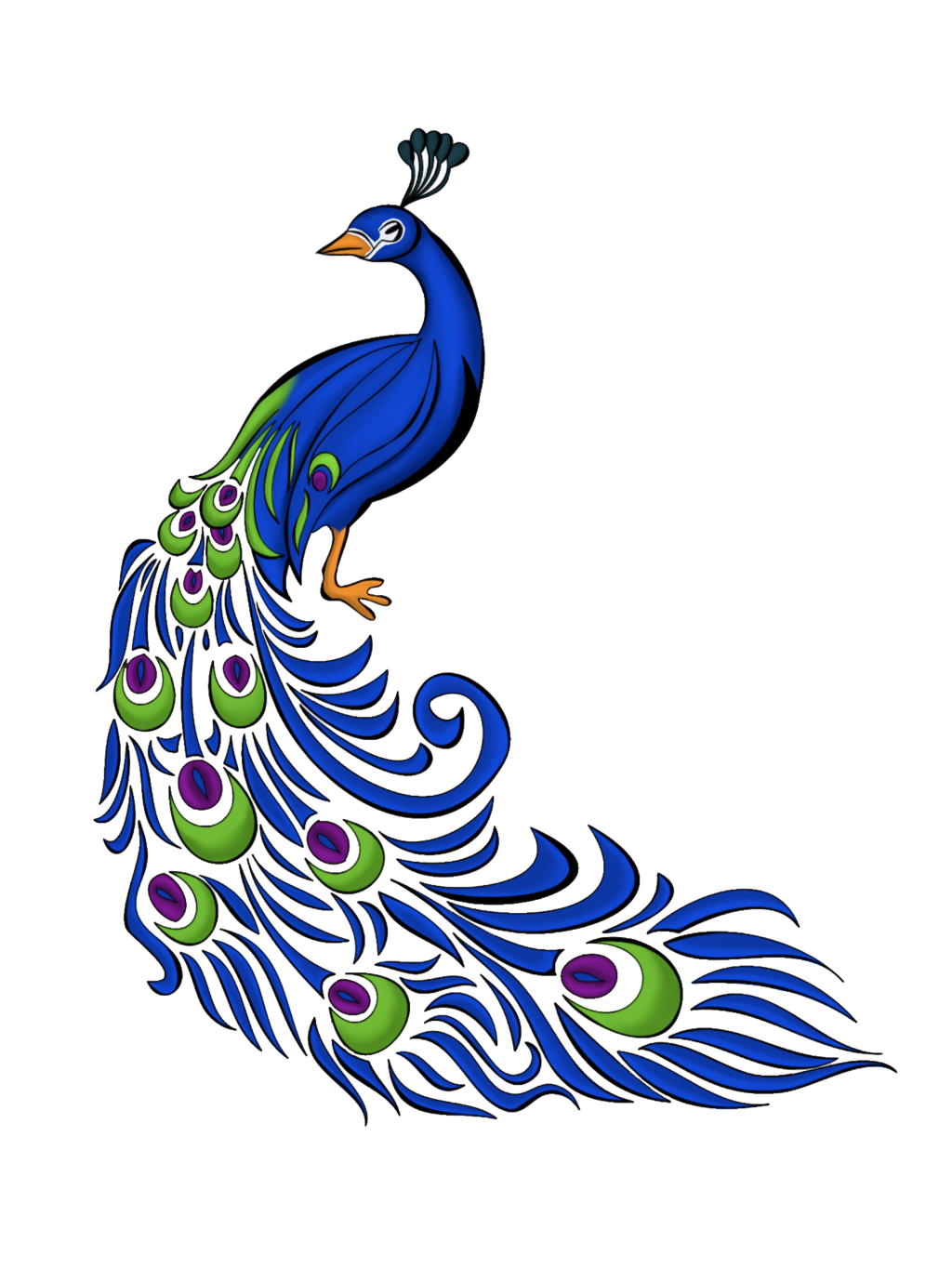 Peacock Feather Vector Free Graphics And Art