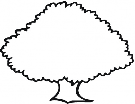 Outline Of A Tree With Branches - ClipArt Best