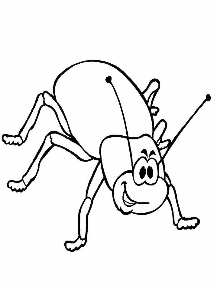 Bug Template Printable ClipArt Best