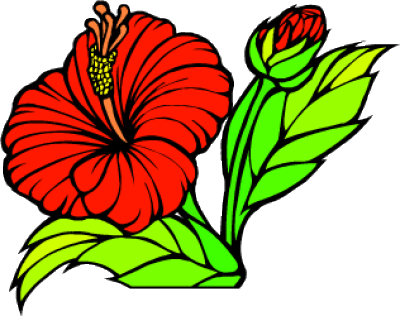 Hawaii Flower- US States Edition - CountryReports