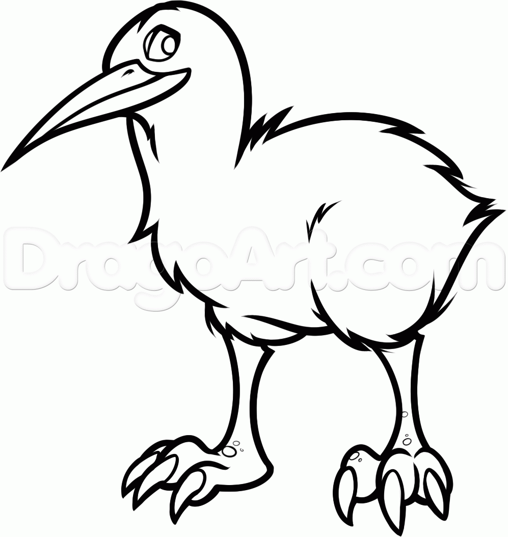 Line Drawing Kiwi : Kiwi line drawing clipart best