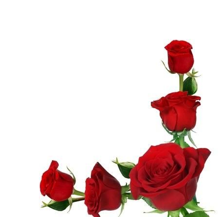 Red Rose Border Clipart