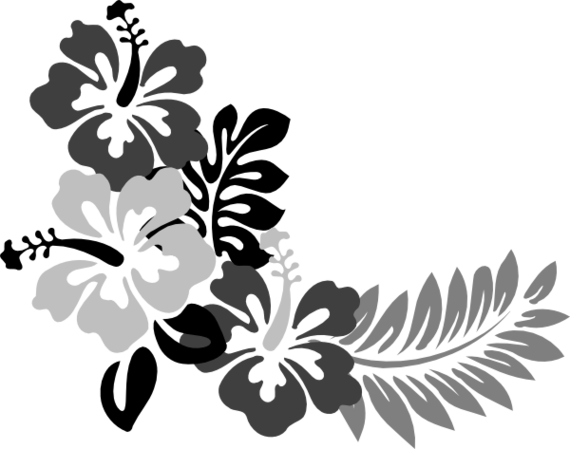 Hibiscus Flower Template Clipart - Free to use Clip Art Resource