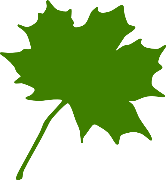 Green maple leaf clipart