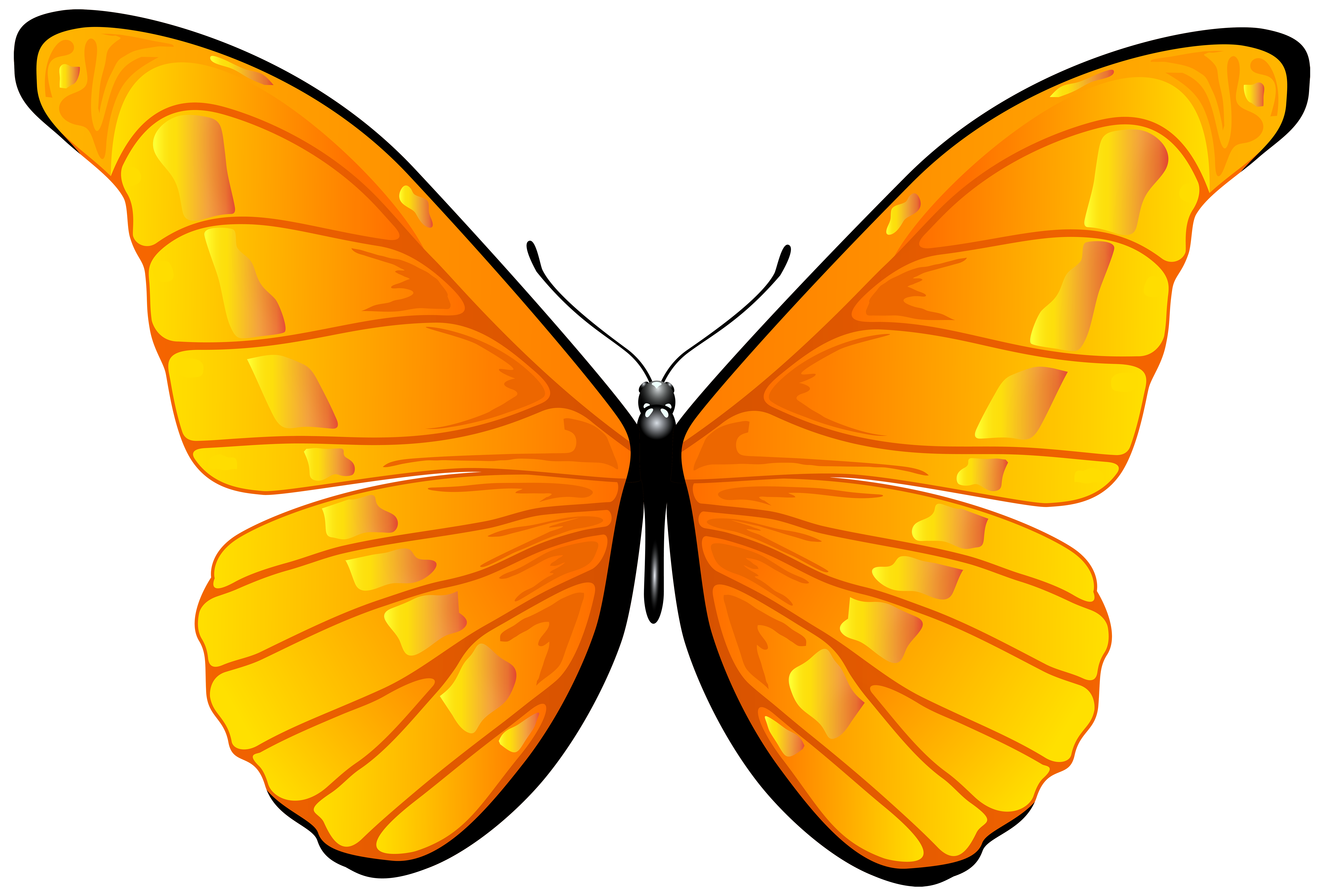 butterfly clipart png - photo #21