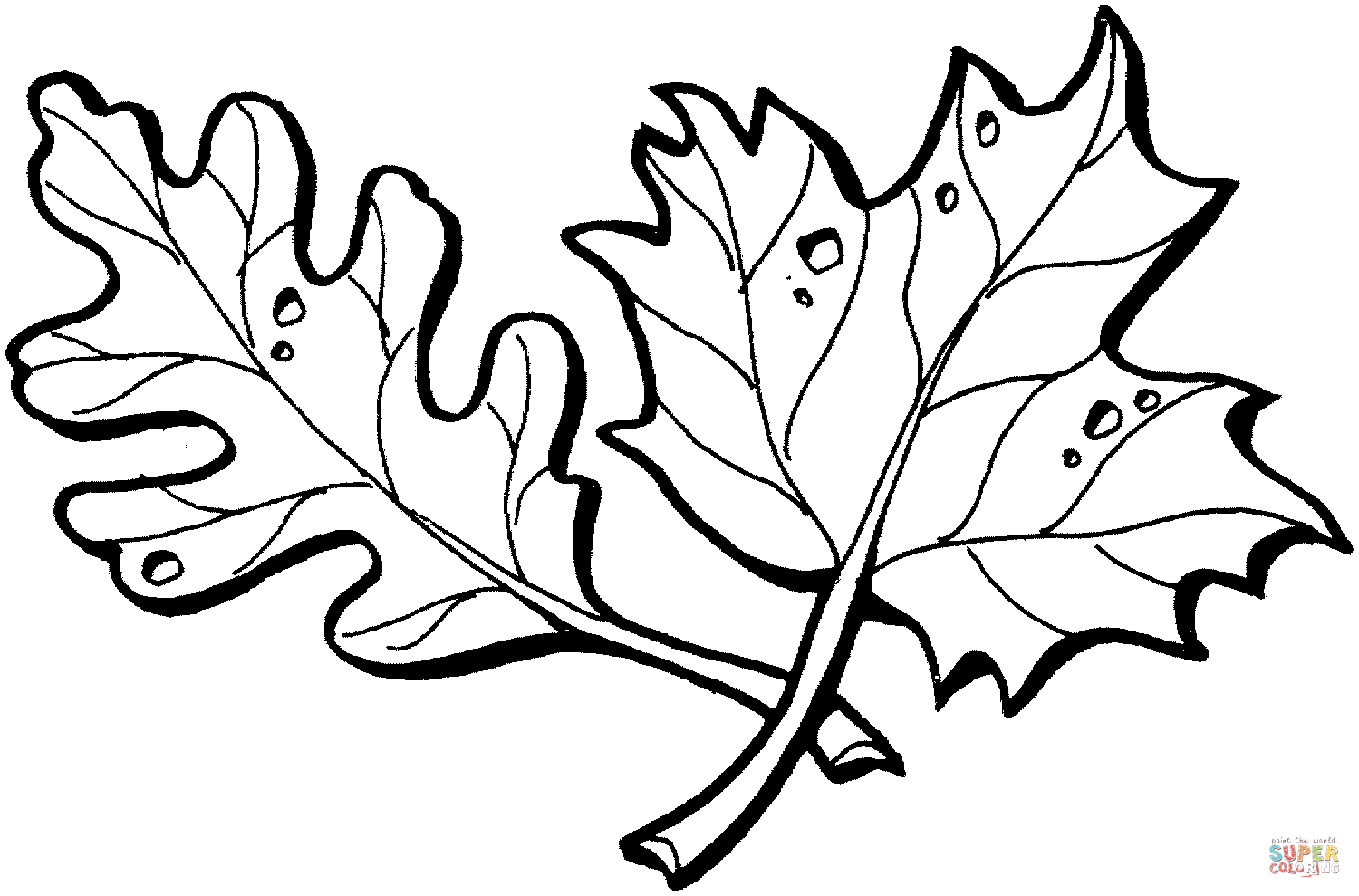 Oak and Maple leaves coloring page | Free Printable Coloring Pages