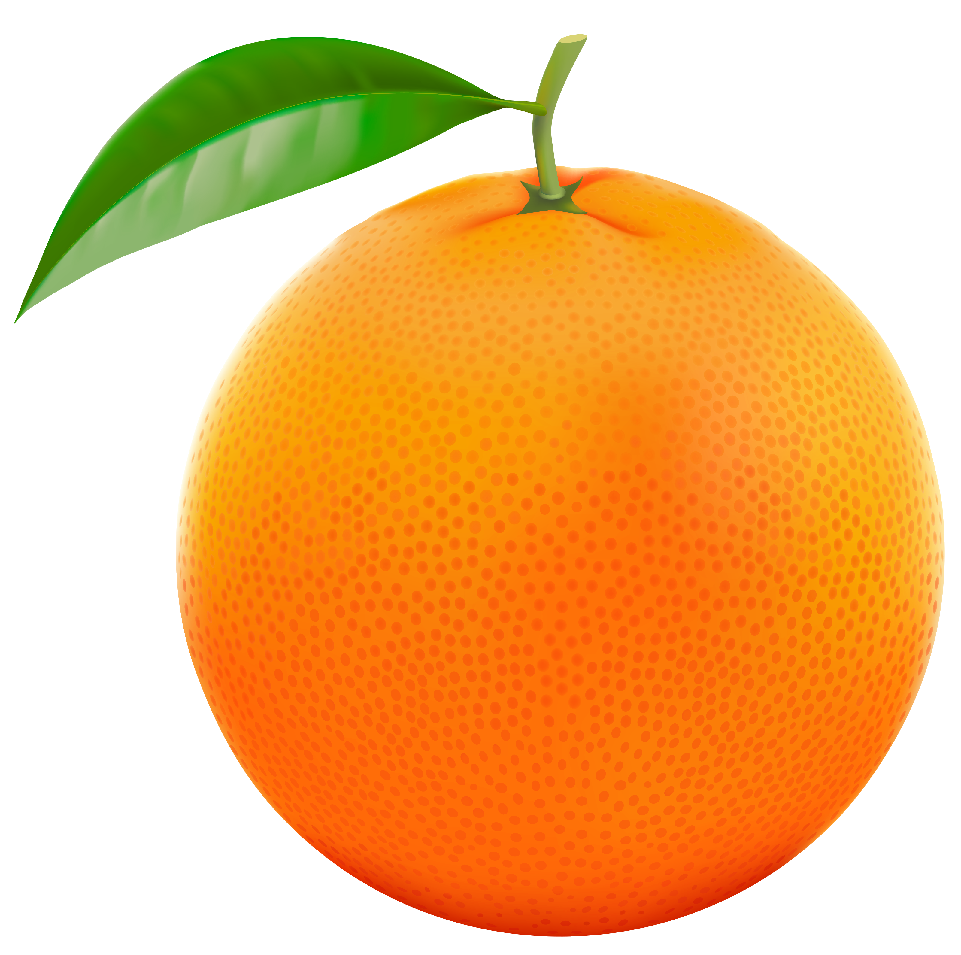 Free orange clipart fruit clip art 2 - Cliparting.com