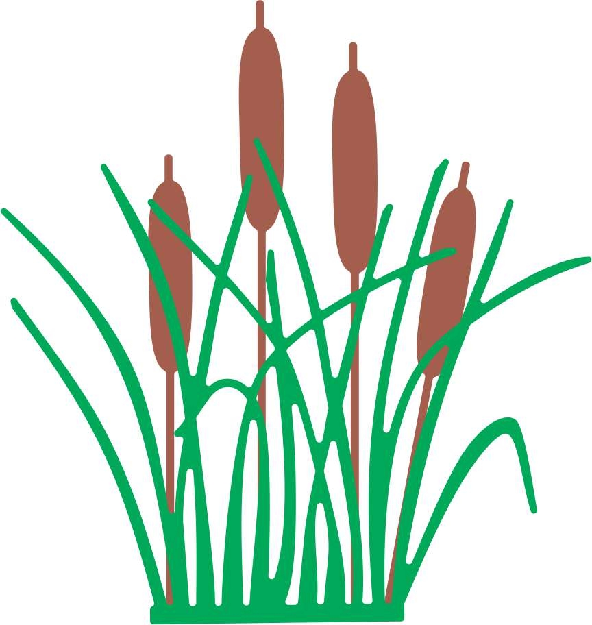 Image of Cattails Clipart #6037, Cattails Silhouette Clipart Free ...