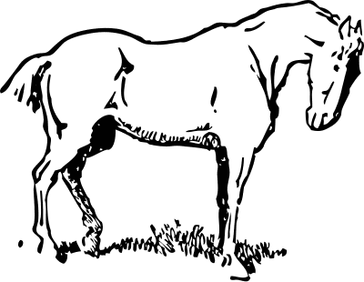 Baby horse clipart black and white