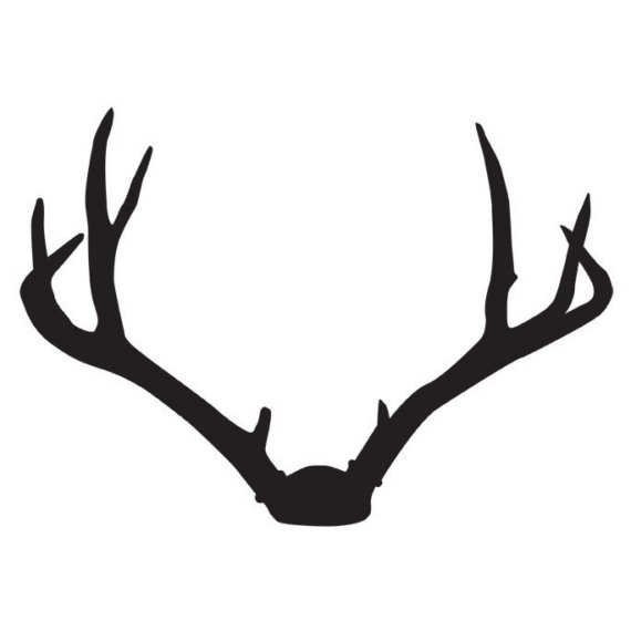 Deer Antlers Wall Decal « Second Language – A boutique NYC ...