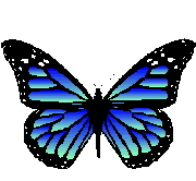 Canku Ota - March 25, 2000 - Butterflies