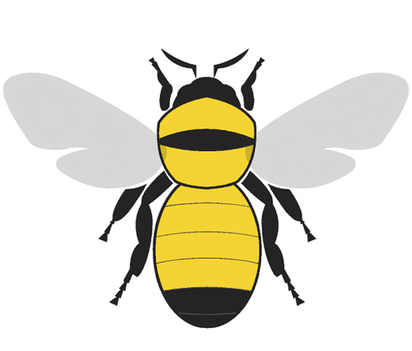 bee illustration clipart - photo #22