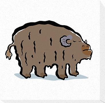musk ox" Canvas Prints by greendeer | Redbubble