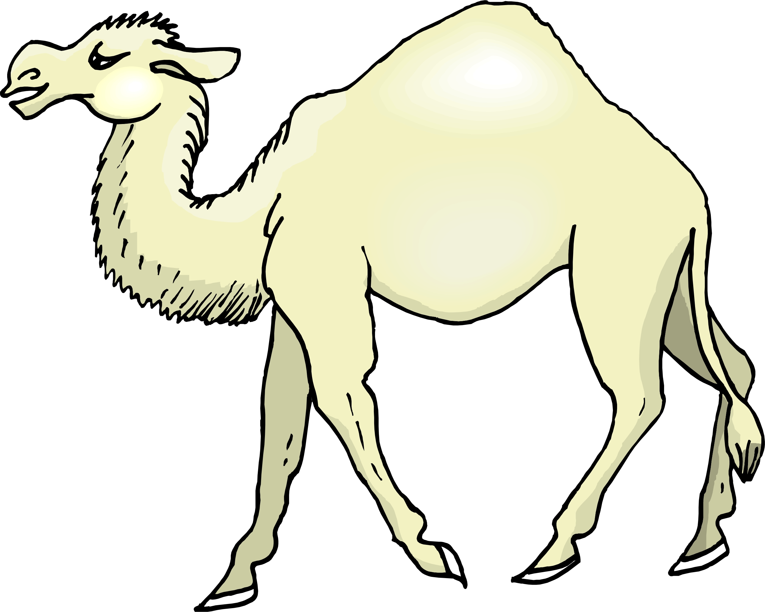 Cartoon Character Camel Isolated White Backg