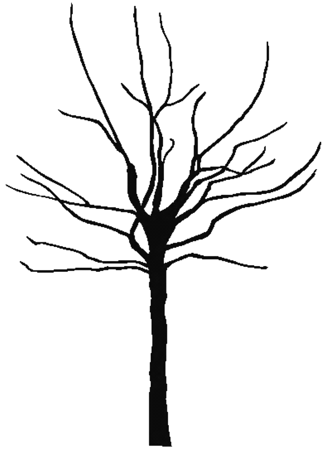 Fall Tree Outline - ClipArt Best