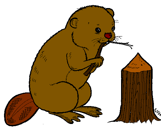 Beaver Clipart - Tumundografico