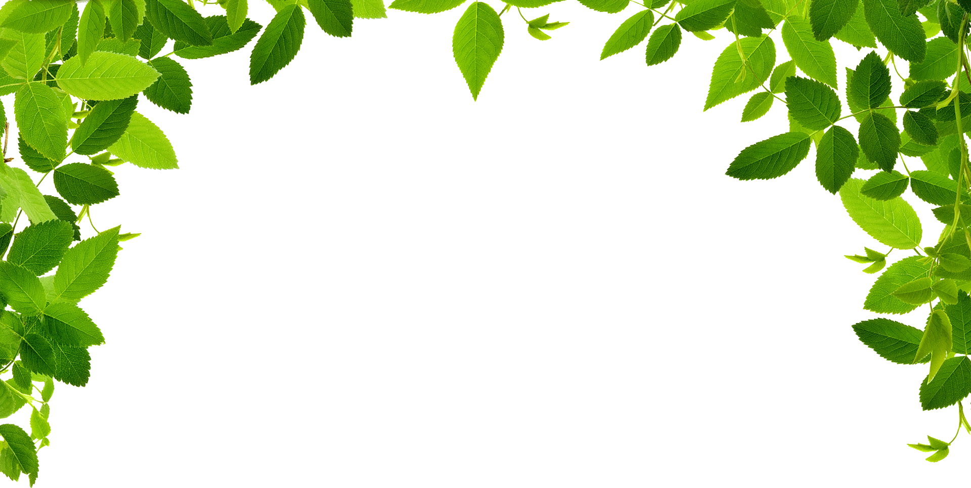 jungle clipart background - photo #48