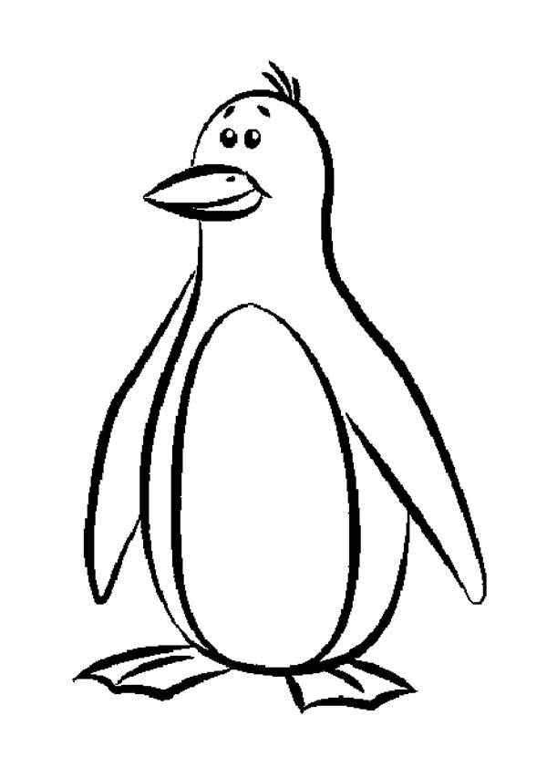 color penguin Colouring Pages
