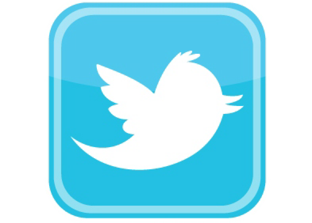 Images For > Twitter Bird Logo Png