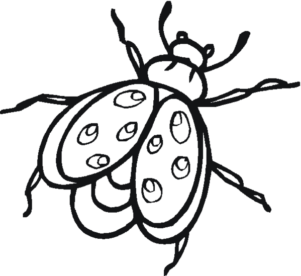 Lightning Bug Coloring Pages Clipart - Free to use Clip Art Resource