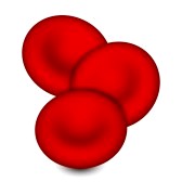 Red blood cells clipart