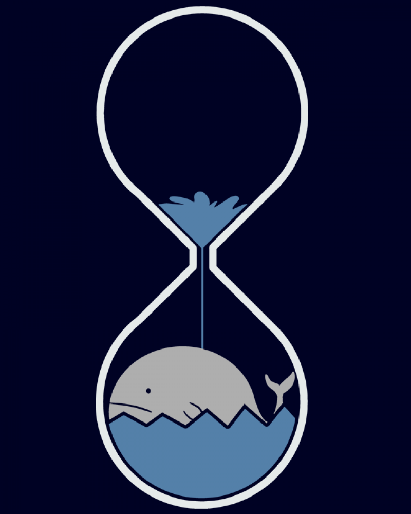 Whale Hourglass Funny Cute T shirt - Singapore/Malaysia ...