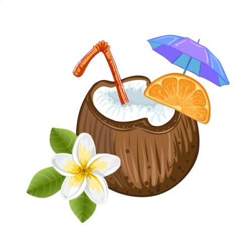 Coconut milk drink vector material | free vectors | UI Download