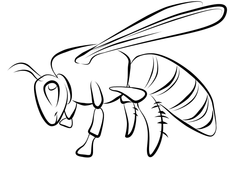 FREE Bee Coloring Pictures: Just Print the Page and Color!