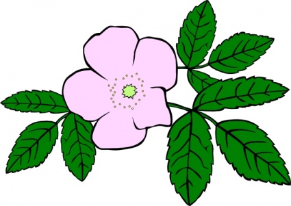 Rose clip art - Download free Nature vectors