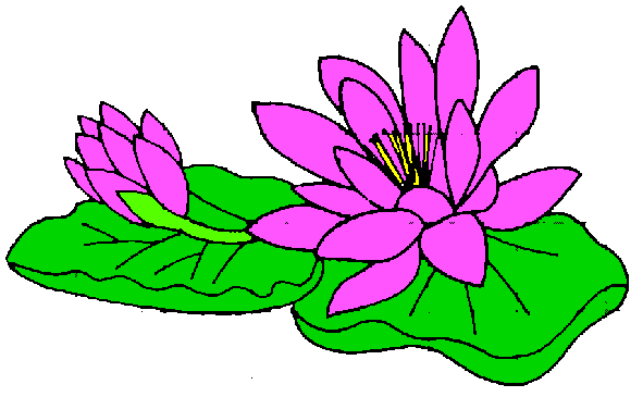 Blue Water Lily Flower Clipart
