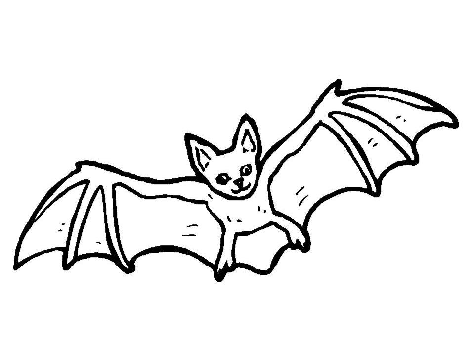 Bat Line Drawing - ClipArt Best
