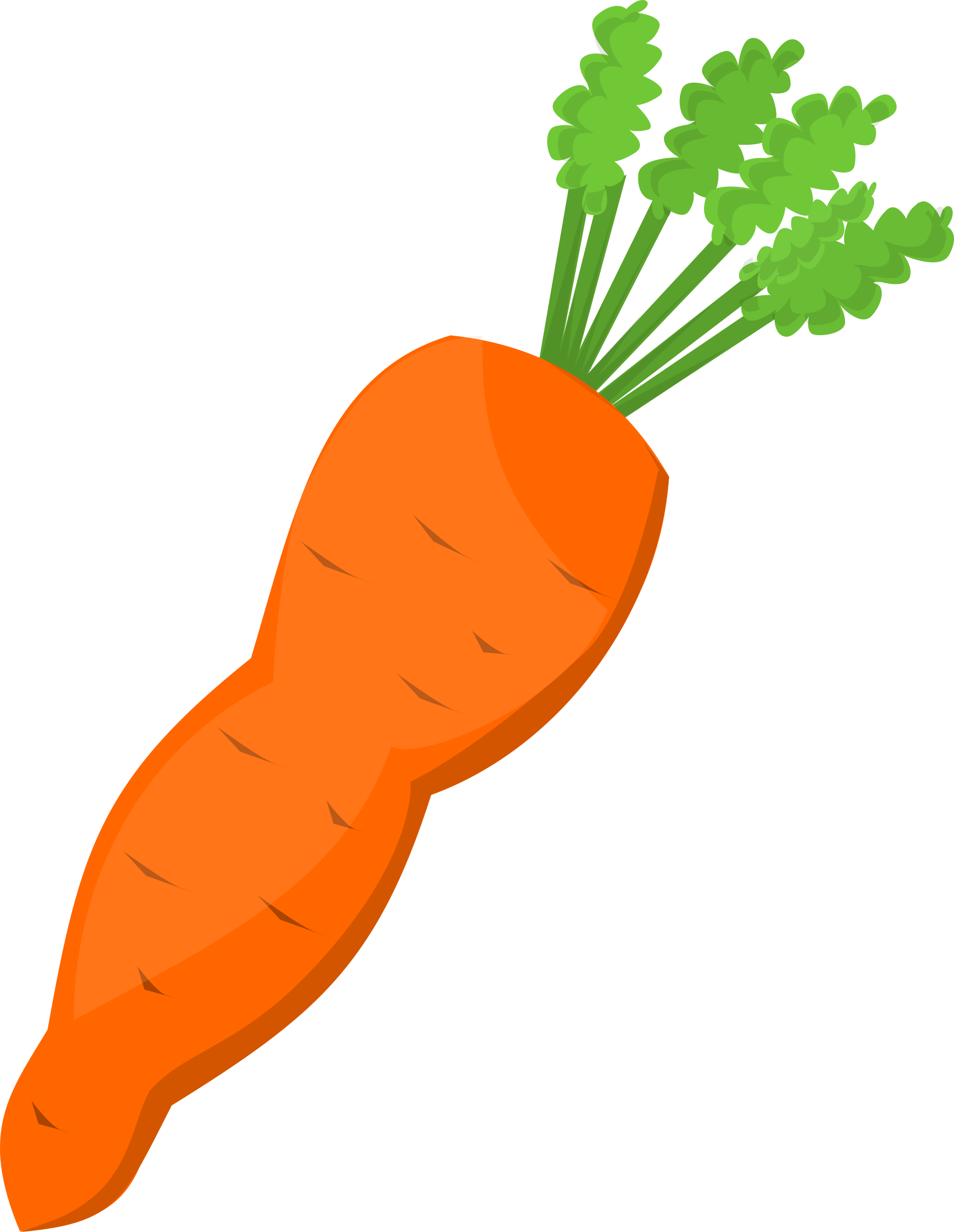 Carrot clipart png