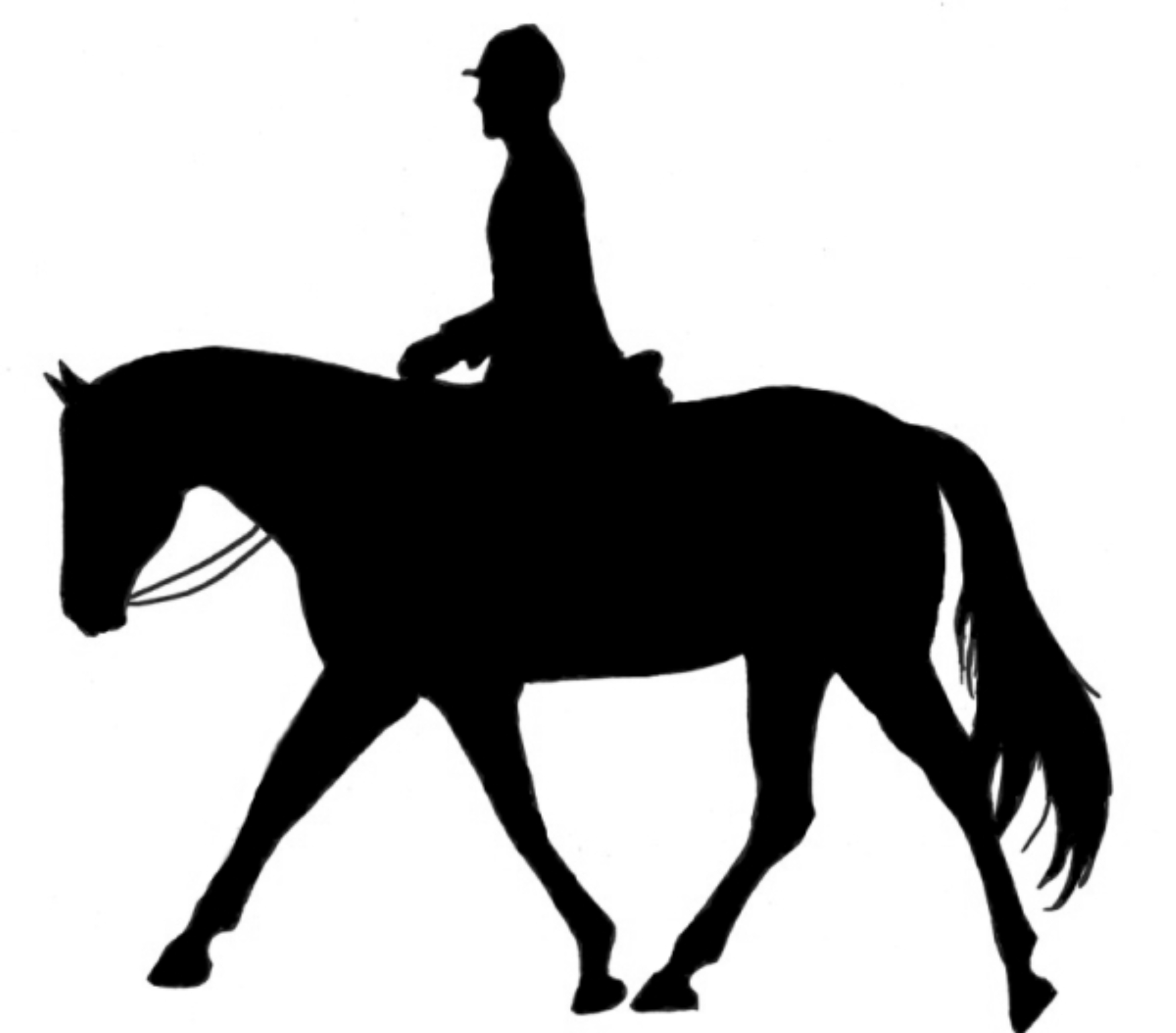 Picture Of Horse And Rider - ClipArt Best