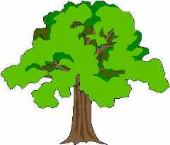 Oak Trees Clipart - Free Clipart Images
