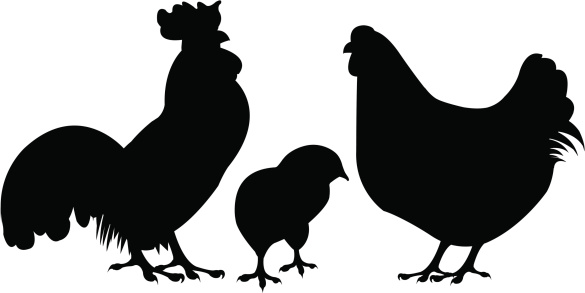 chicken silhouette clip art - photo #33