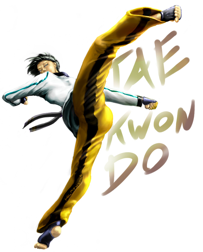 Taekwondo Wallpapers x2 by Aftab-X on DeviantArt