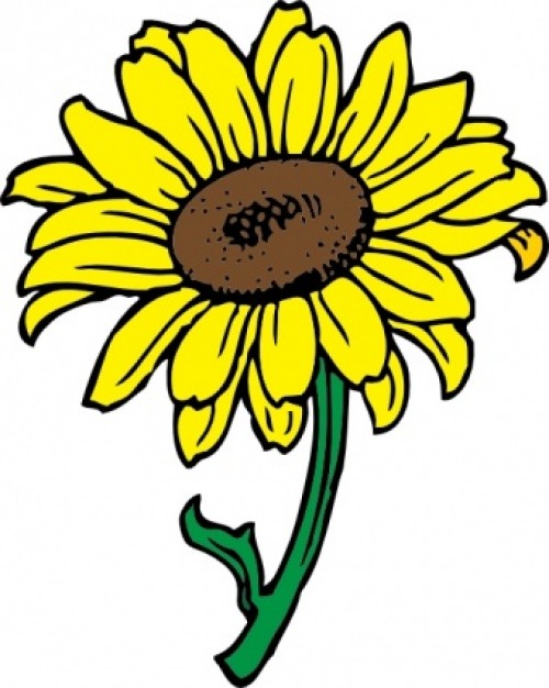 Sunflower clip art | Download free Vector