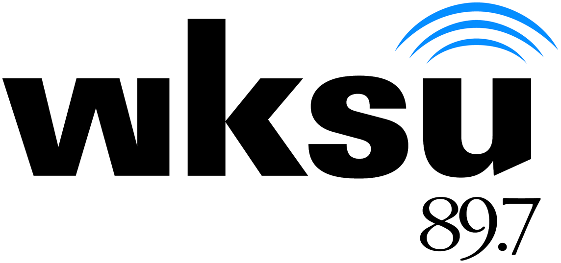 File:WKSU-FM logo (radio waves).png