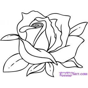 How to Draw a Cartoon Rose, Step by Step, Flowers, Pop Cultu ... - ClipArt  Best - ClipArt Best