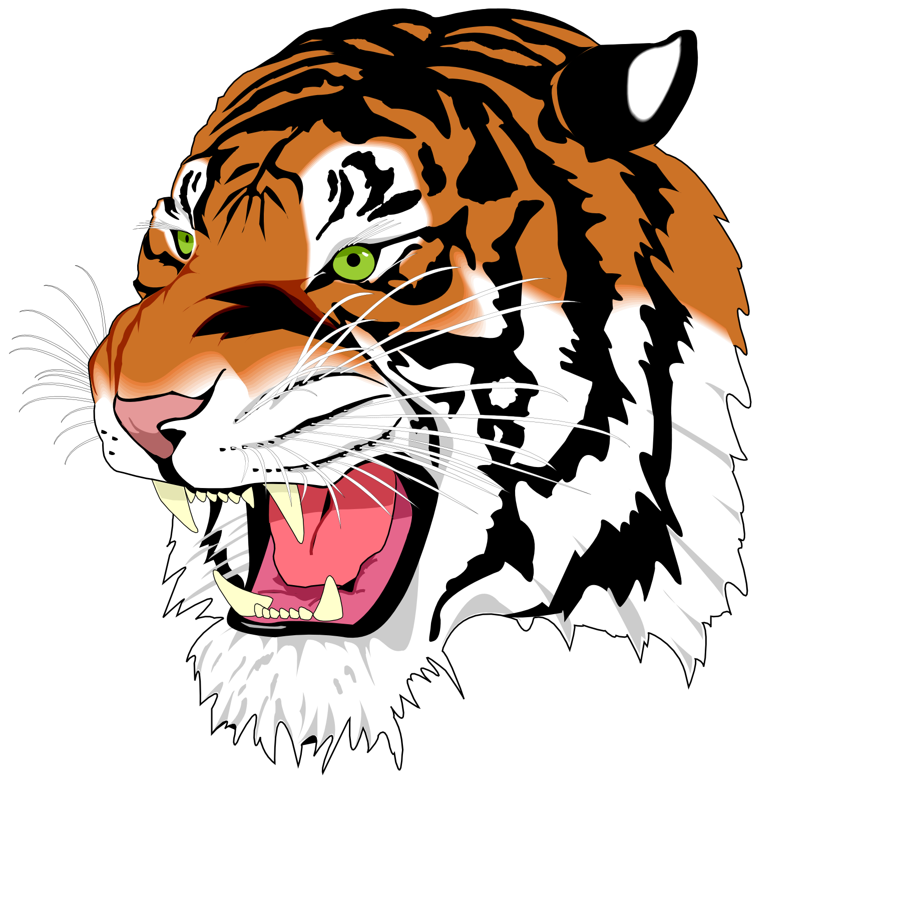Tiger Animation - ClipArt Best