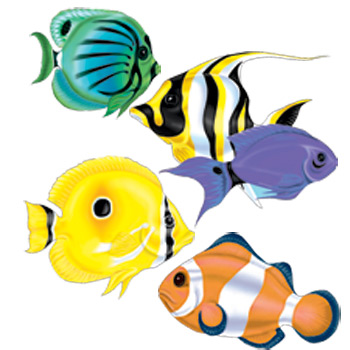 School Of Tropical Fish - Free Clipart Images