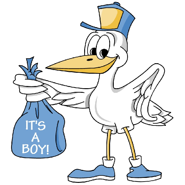 Stork Carrying Baby Boy Clip Art | Like Success