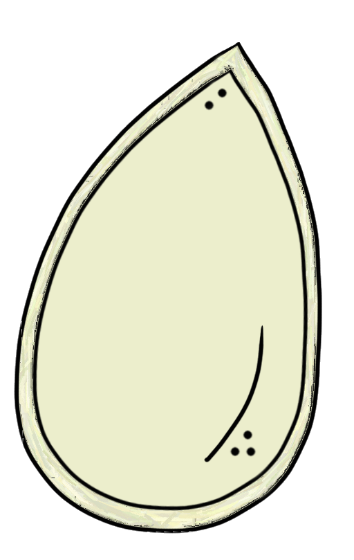 Drawn Pumpkin Seeds - ClipArt Best