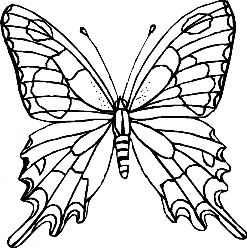 Butterfly clipart png black and white